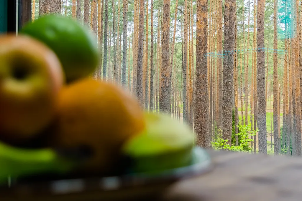 Загородный клуб Радужный лес