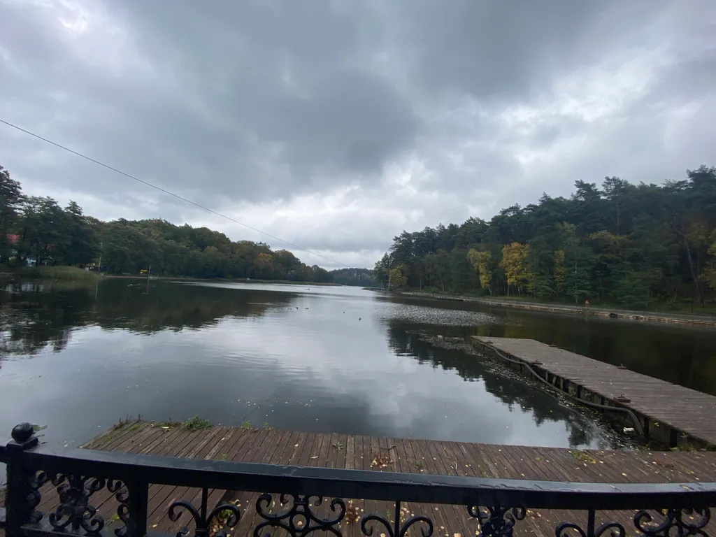 Уютная студия с видом на озеро и лес