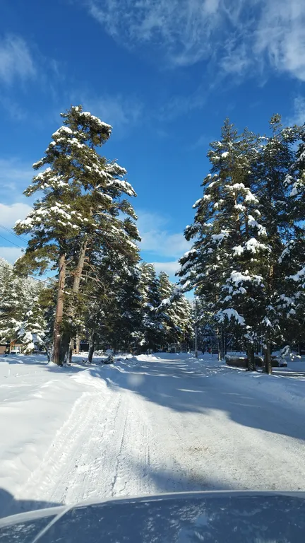 Коттедж Коттедж Алатырь А-фрейм в сосновом бору — Архыз