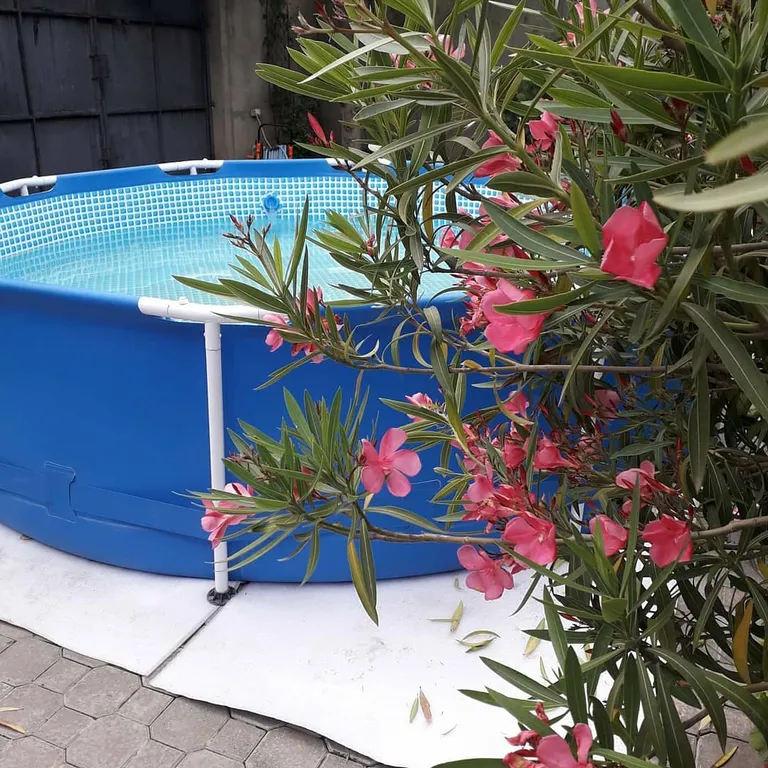 Дом Вашей Мечты в Алуште