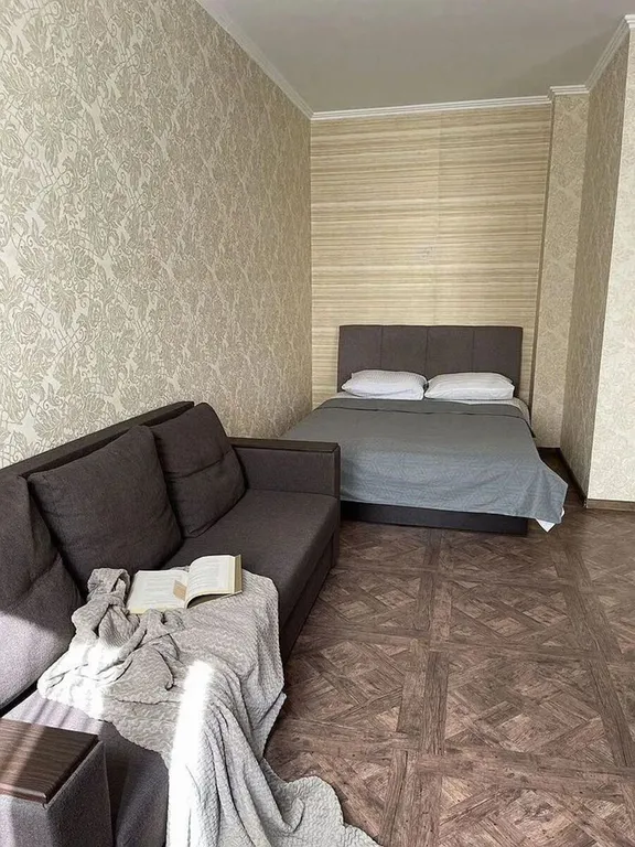 Квартира в Центре возле метро