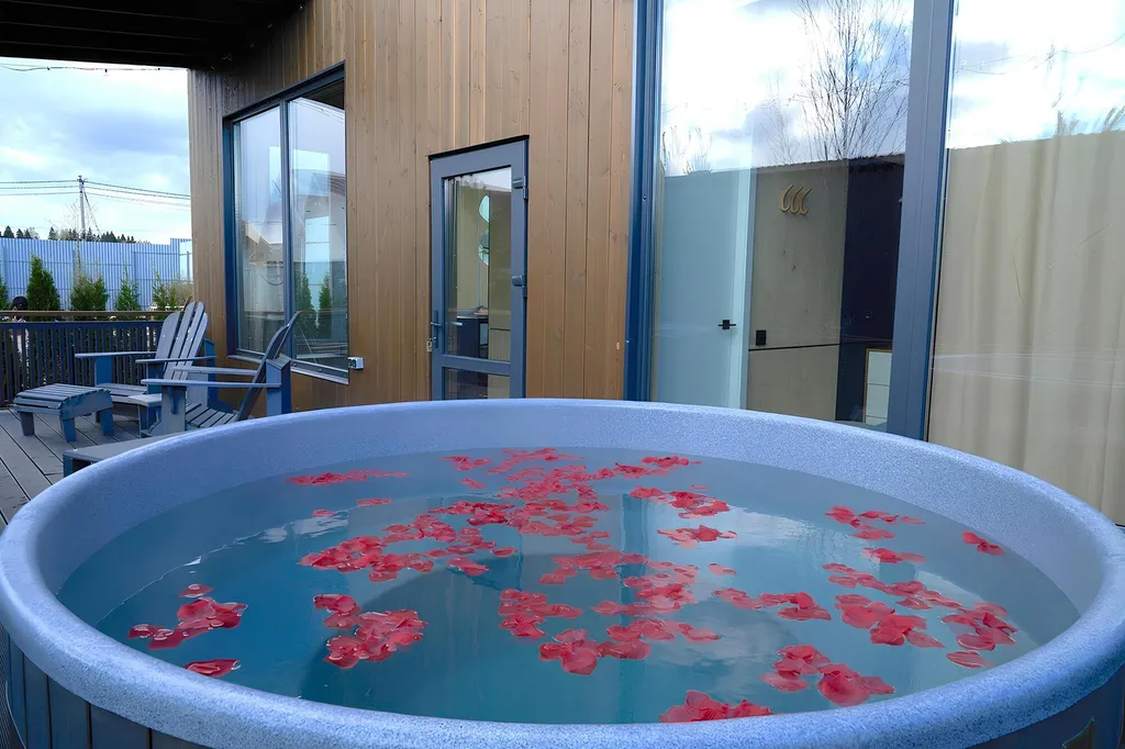 Уютный дом с баней и горячей купелью