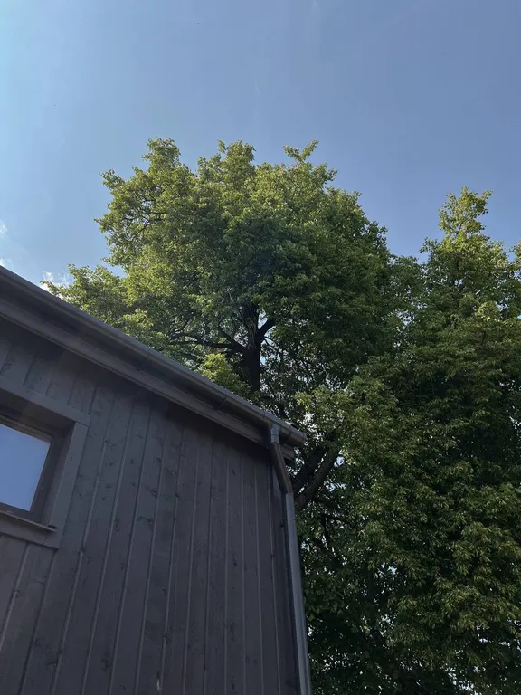 Гостевой дом Barn рядом с Валдайским озером