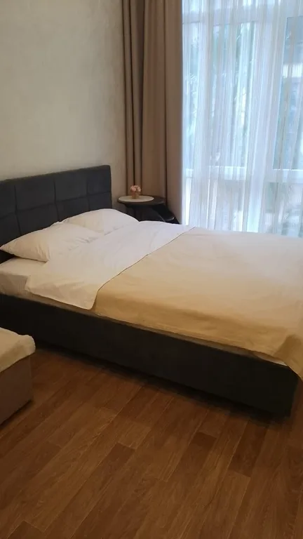 Квартира 1-комнатная Квартира — Сириус