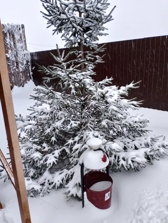 Дом с баней