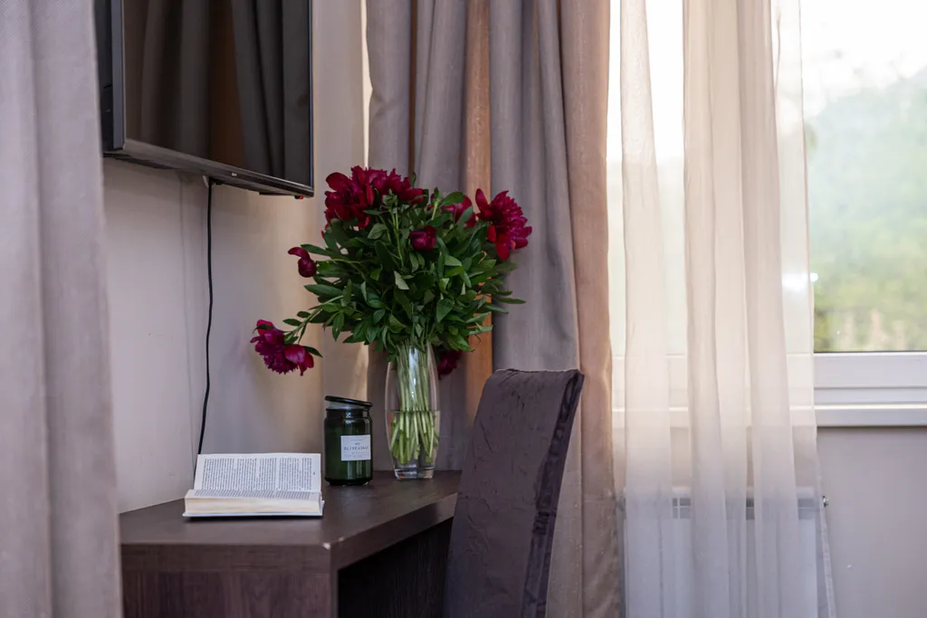 Квартира с видом на горы