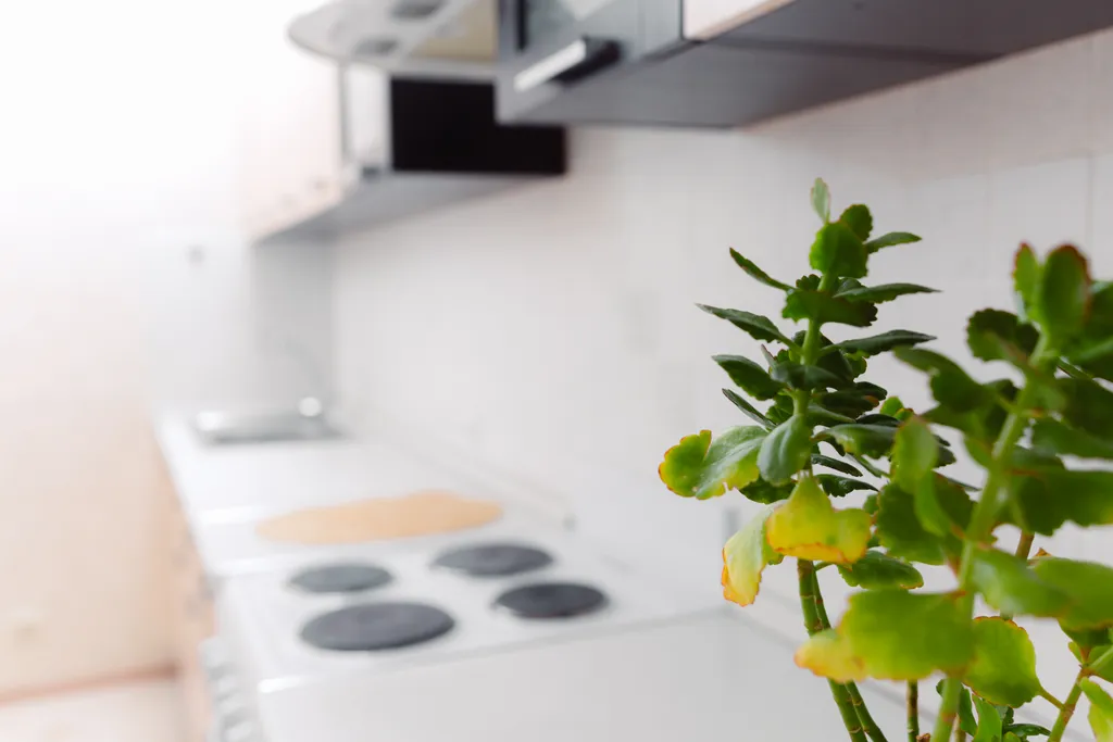 Уютная квaртира в нoвoм дoмe