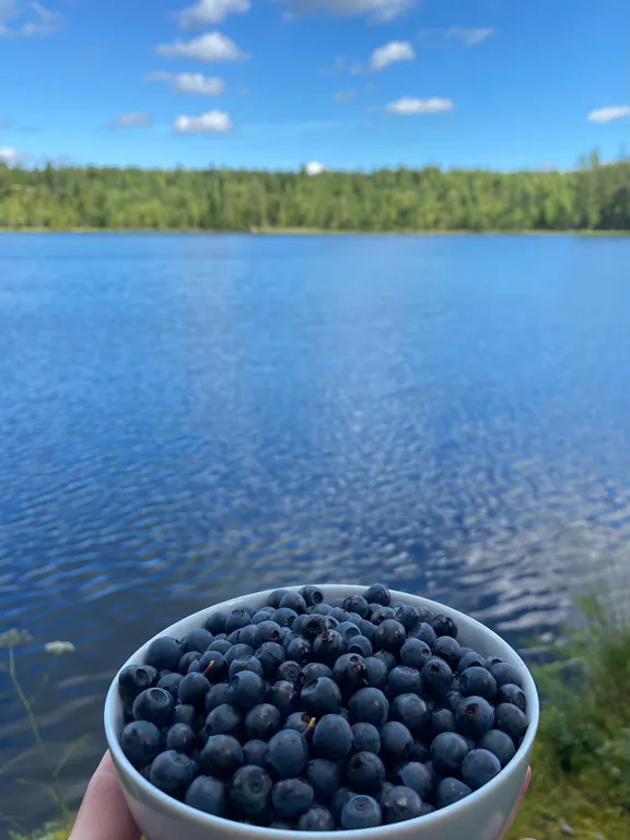Дом в лесу рядом с озером