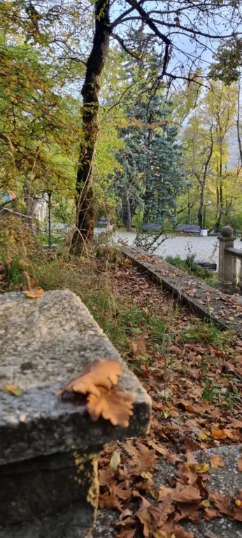 Тихий Домик с видом на горы