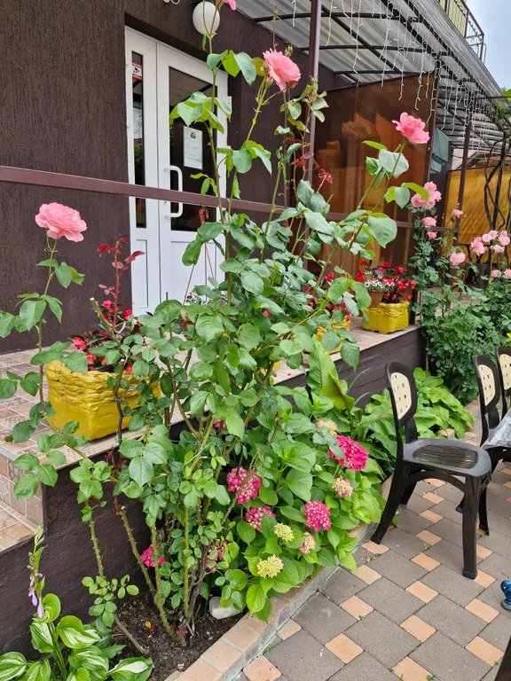 Семейная комната с отдельным выходом во двор