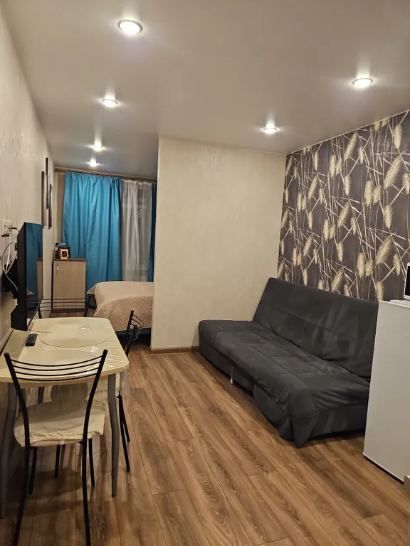 Улучшенная студия вблизи метро Парнас