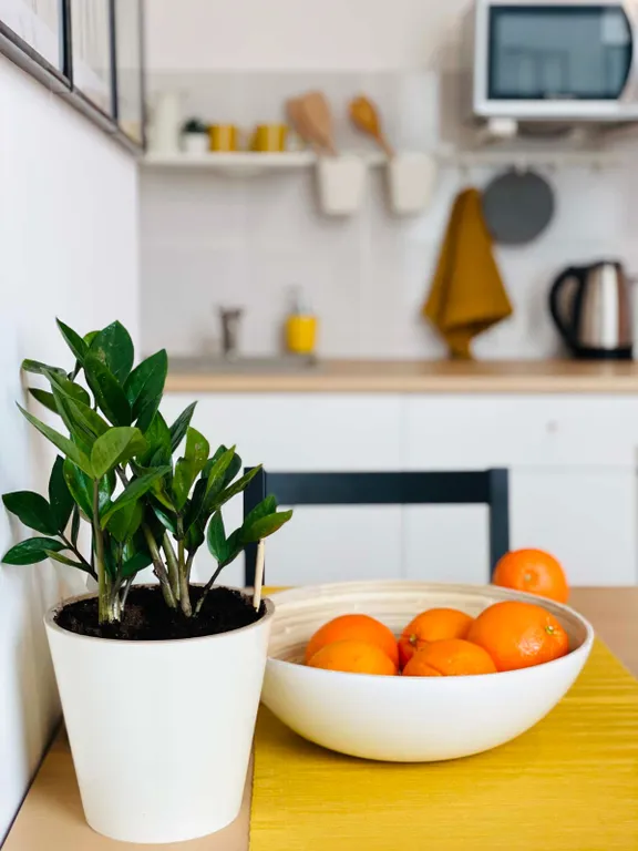 Уютная студия с бесконтактным заселением