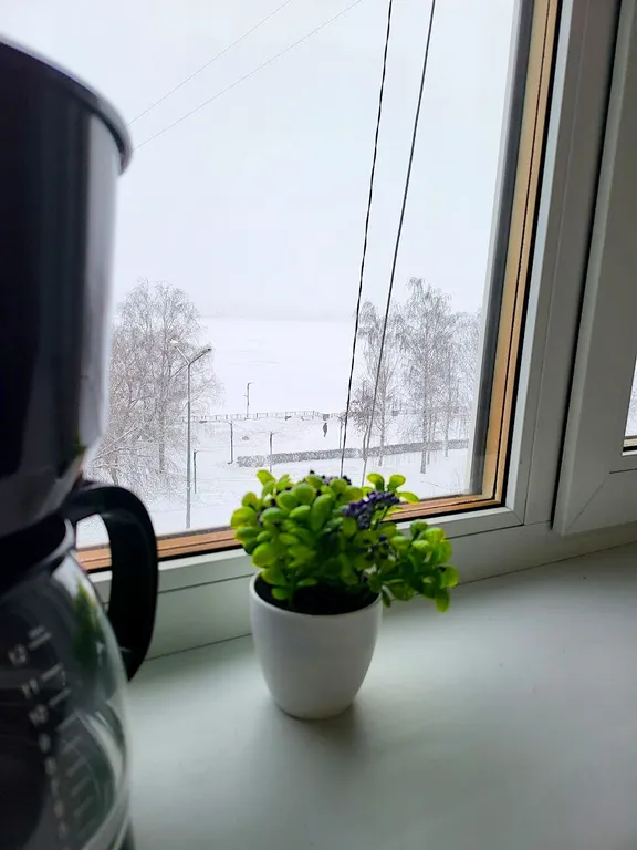 Квартира с видом на озеро