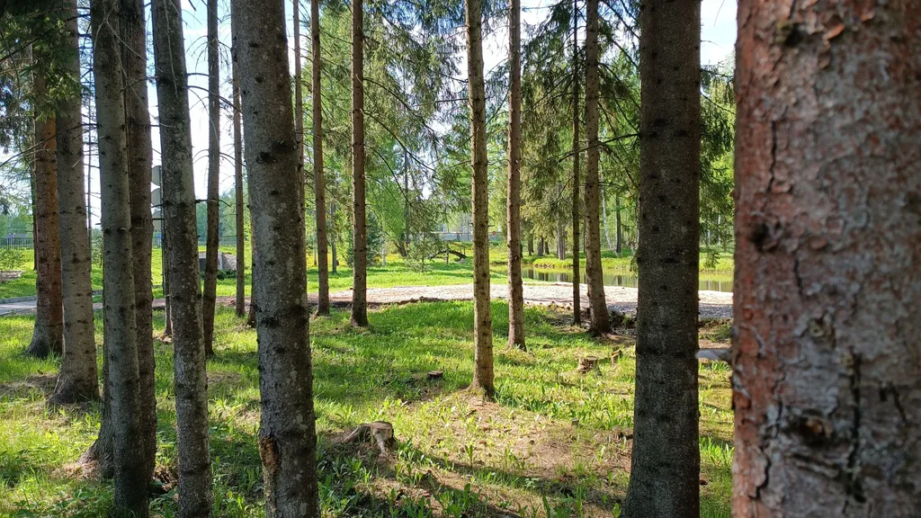 Просторная квартира рядом с водным маршрутом Ривьера Завидово