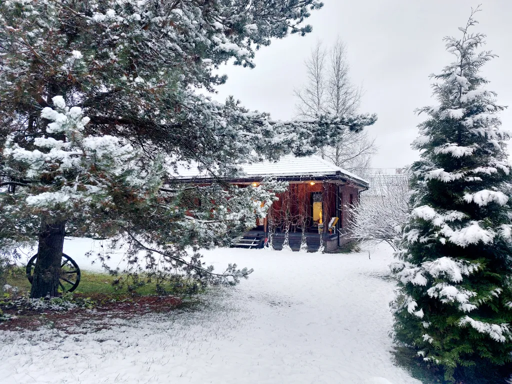 Коттедж Маленький дом большого города — Санкт-Петербург