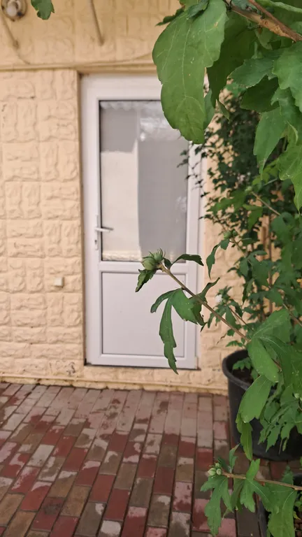 Коттедж Домик с видом на море — Евпатория