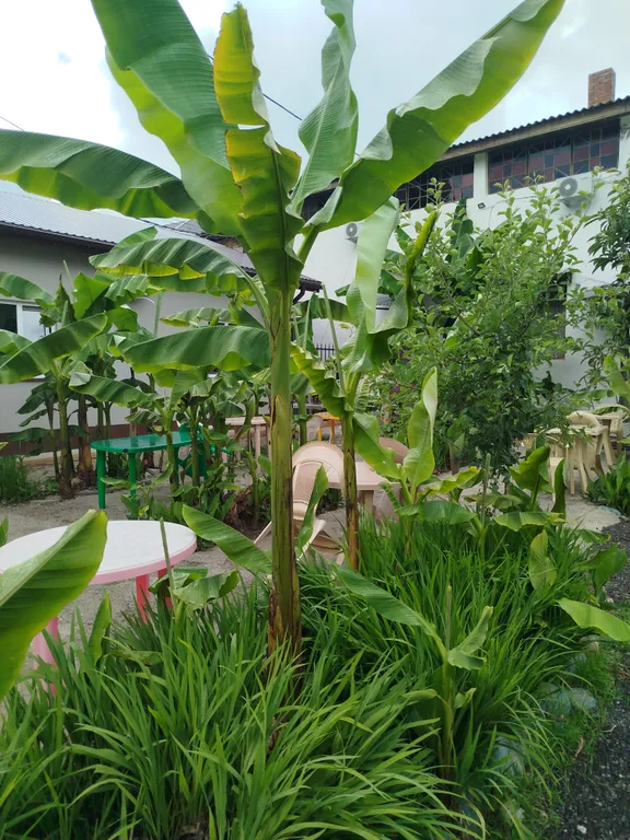 4-5-ти мест стандарт