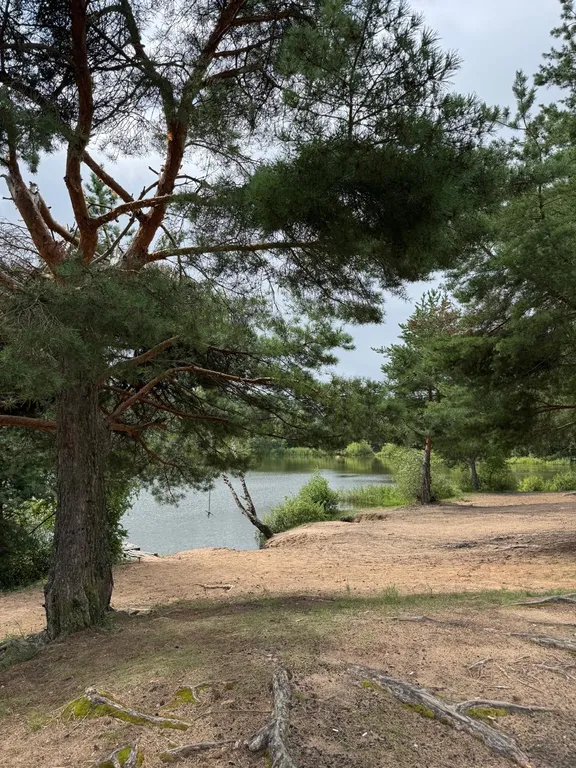 Домик на берегу Волги в Твери