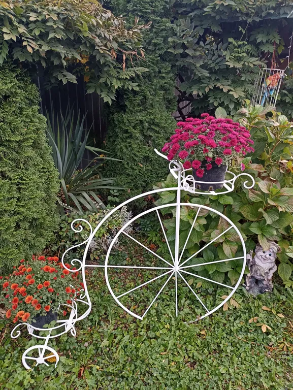 Семейный номер с кухней с выходом на террасу