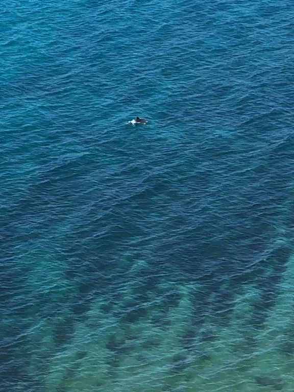 Квартира Удобная квартира с видом на море рядом с пляжем на красивой набережной — Анапа