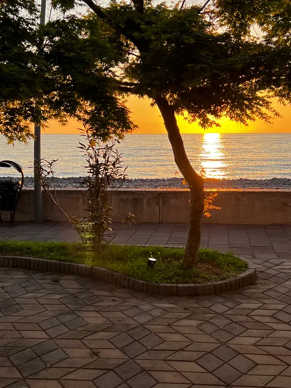 Элитный комплекс Дрим Лэнд Oasis на побережье Грузии