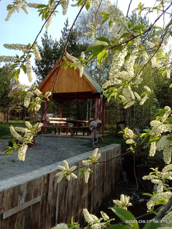 Дом в лесу у реки