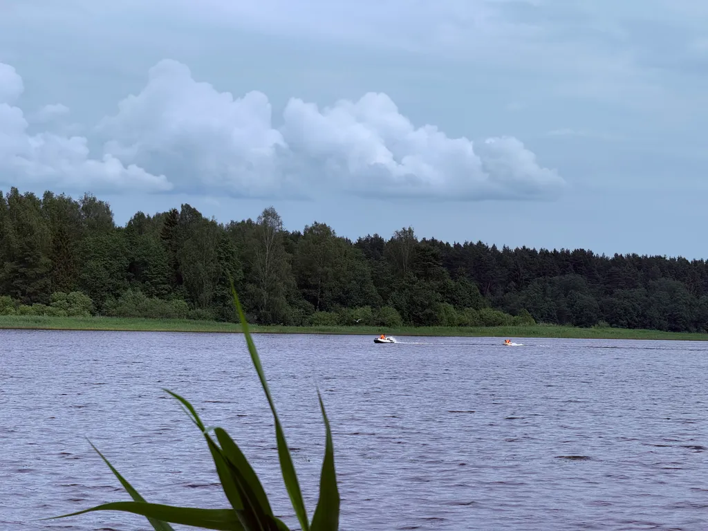 Дом с видом на реку