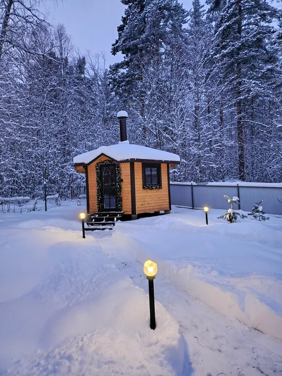 Коттедж Коттедж Shuya Tiny House 2 — Петрозаводск