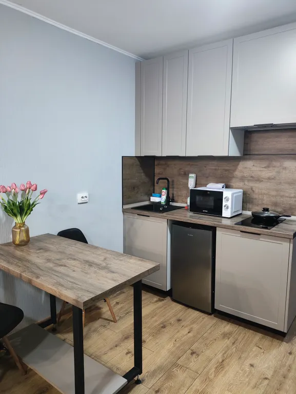 Студия в апартаментах у метро Парнас