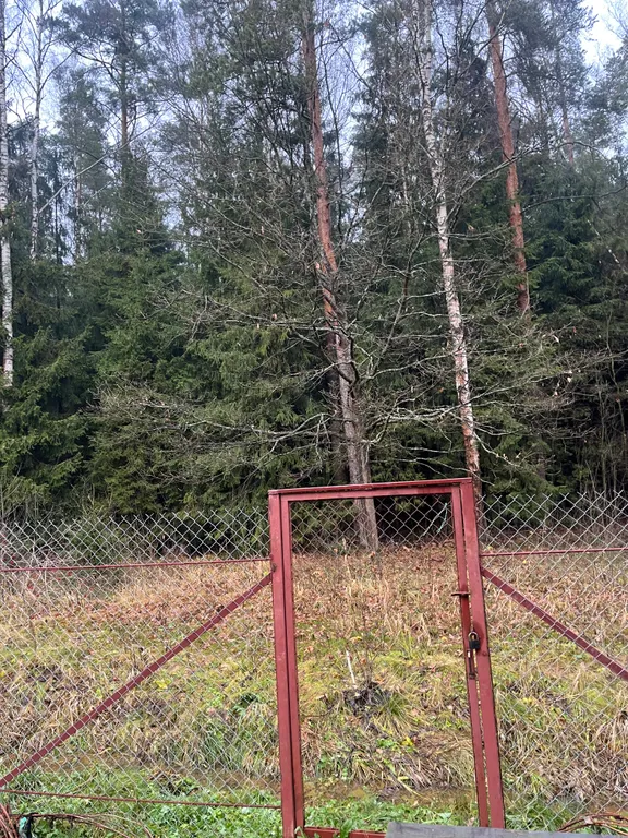 Дом для отдыха на лесной опушке с баней