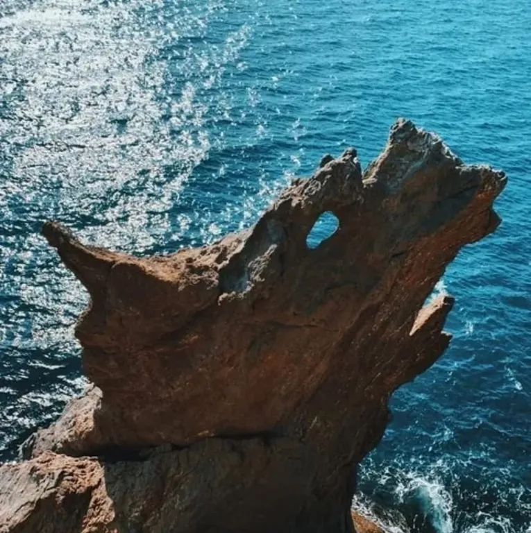 Квартира Уютные апартаменты на берегу моря — Севастополь