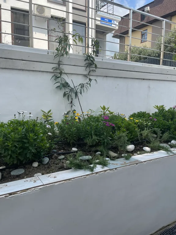 Квартира Квартира Студия с собственной террасой в олимпийском парке — Адлер