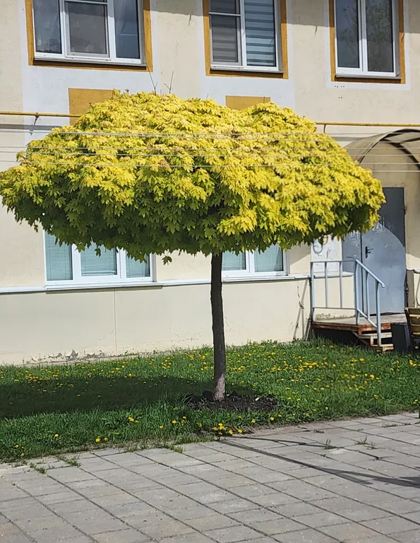 2х комнатная квартира около набережной