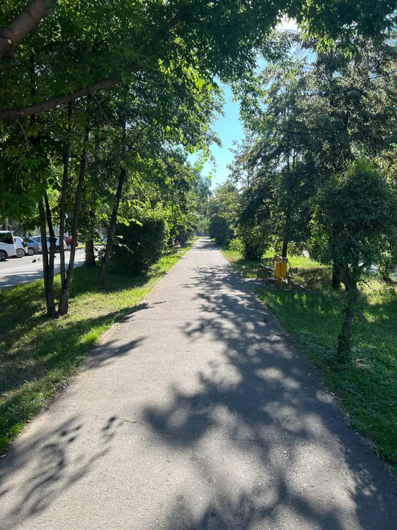 Уютная студия в самом центре города