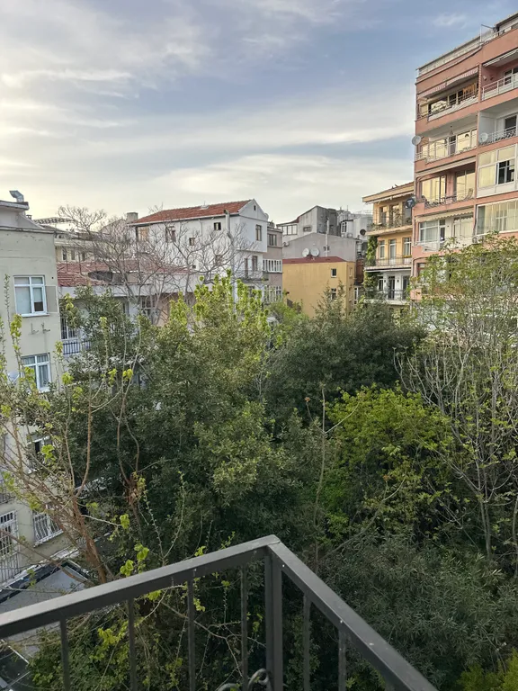 1+1 Triple Номер улучшенный с балконом и видом на сад