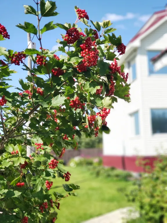 Гостевой дом Relax House