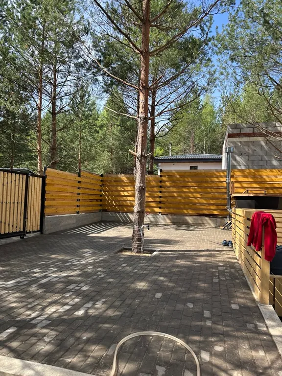 Дом в сосновом лесу