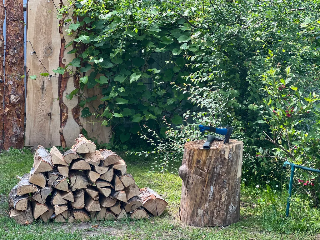 Домик в лесу