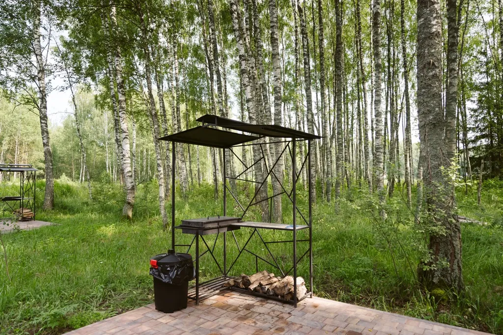 Дом бальдур