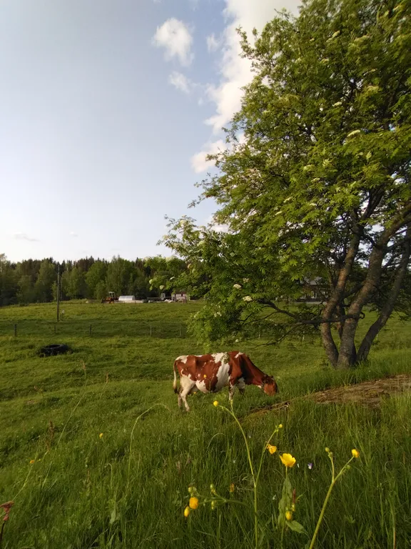 Агроусадьба Ивановых, старый хутор Тауно Туоми