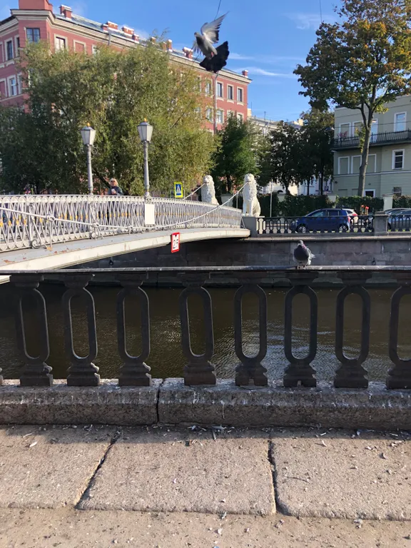 Квартира Квартира Студия с видом на Покровский сквер — Санкт-Петербург