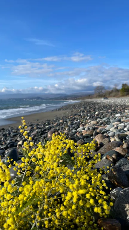 Апартаменты с видом на море
