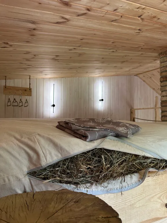 Новый уютный теплый домик с баней возле леса в 7 километрах от Гродно