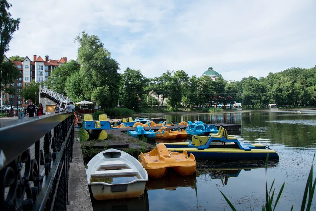 Квартира Квартира Cozy apartment — Светлогорск