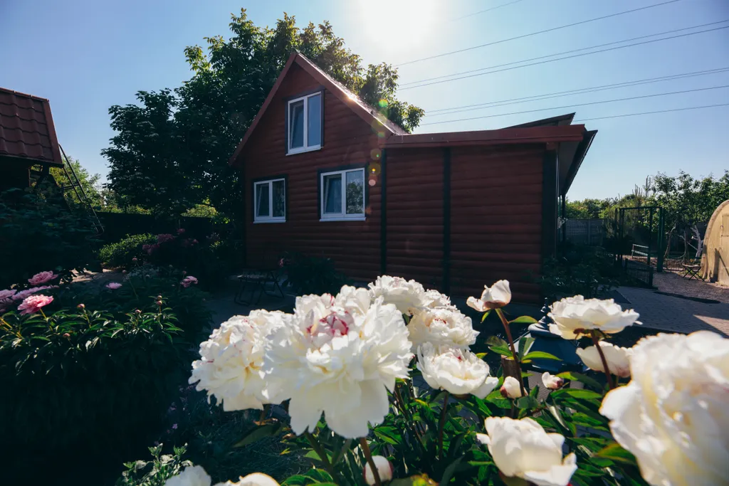 Берег мечты