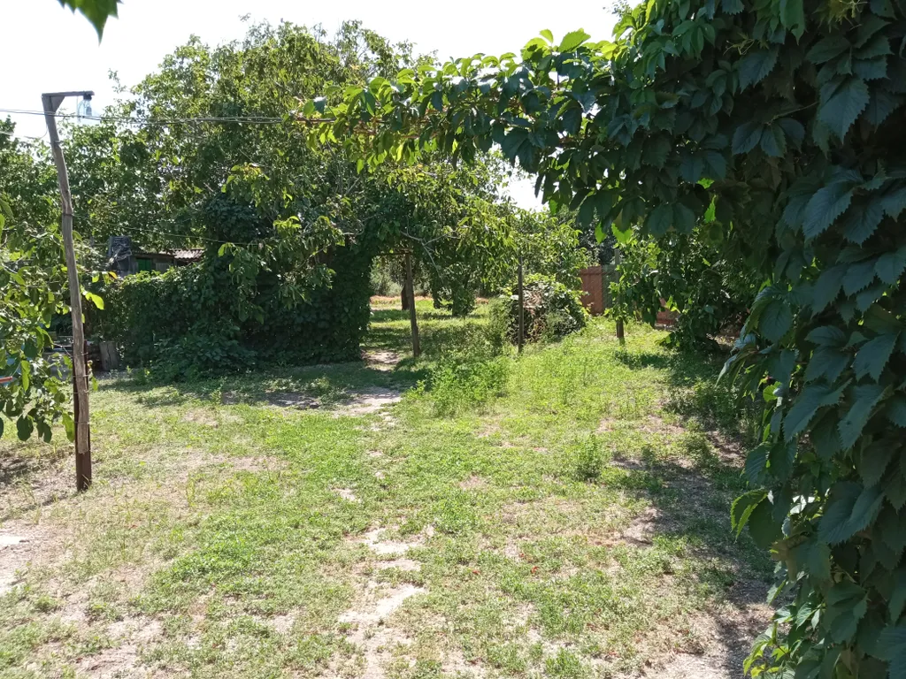 Коттедж Дом у моря (без хозяев) — Должанская