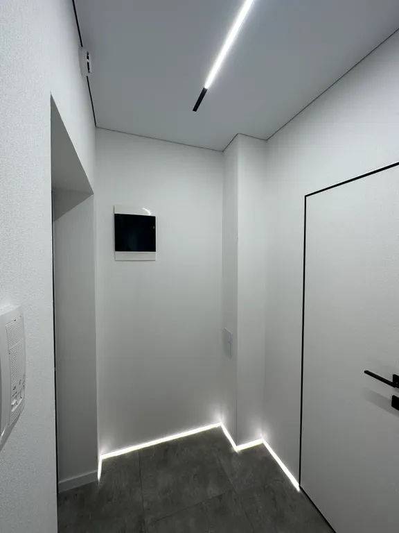 Студия в Запрудном