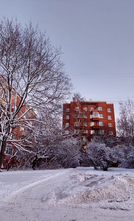 Большая квартира на Ольгином пруду.