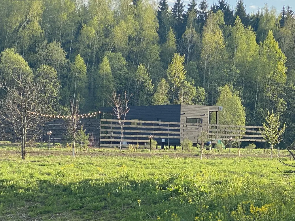 Домик ЧЕРНИКА. Большой пруд с пляжем в глэмпинге "Усадьба Ягодное".