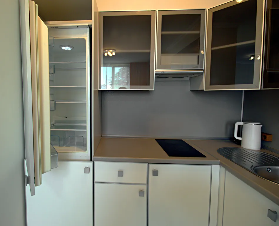 Квартира 1-комнатная Квартира — Сириус